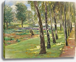 Постер Либерман Макс Die Birkenallee im Wannseegarten