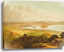 Постер Галли Джон Равнины Ваймеа и возделанная местность близ Нельсона