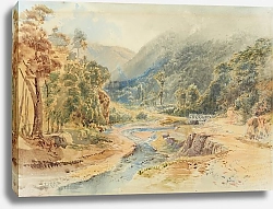 Постер Шевалье Николас Ручей Тарохонга, Римутака-роуд