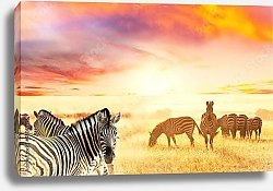 Постер Африканский пейзаж с зебрами