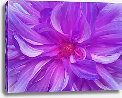 Постер Пурпурный цветок хризантемы крупным планом