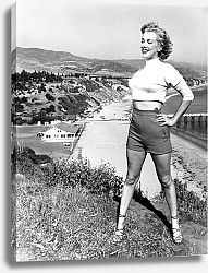 Постер Monroe, Marilyn 87
