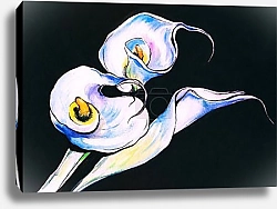 Постер Белые каллы, акварель