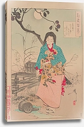 Постер Еситоси Цукиока Lady Chiyo and the broken water bucket