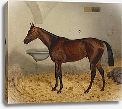 Постер Адам Эмиль Метталист