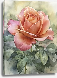 Постер Inspiration from one look at a tea rose