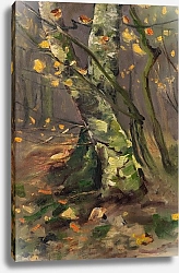 Постер Хагемайстер Карл Waldinneres – Birkenstämme im Herbststurm