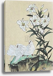 Постер Две белых голубки и белый цветок лилии