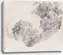 Постер Ричмонд Джеймс Риму, Таранаки