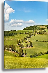Постер Тоскана, Италия: Ландшафт в сердце Сиены