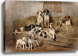 Постер Эммс Джон Гончие и терьеры в конюшне