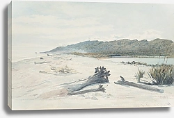 Постер Ричмонд Джеймс Серая река, на берегу моря