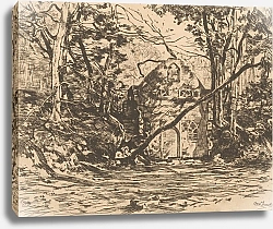 Постер Цварт Виллем Ruïne aan een vijver