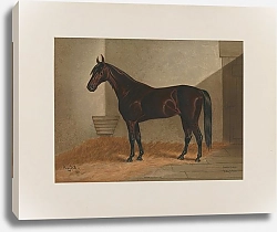 Постер Сталл Генри Санта Клаус