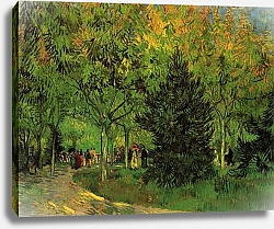 Постер Ван Гог Винсент (Vincent Van Gogh) Дорожка в общественном саду в Арле