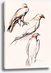 Постер Птицы в полёте