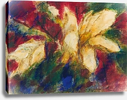 Постер Рольфс Кристиан Magnolien