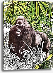 Постер Кэтрайт Уильям (животные) Gorilla