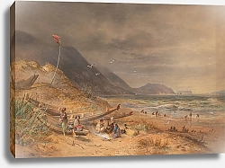 Постер Шевалье Николас Пролив Кука, Новая Зеландия