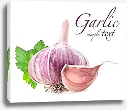 Постер Акварельный лук и чеснок