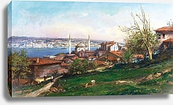 Постер Зонаро Фаусто Istanbul, on the Slopes of Üsküdar
