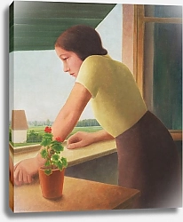 Постер Шримпф Георг Выглядящий