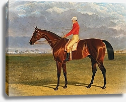 Постер Херринг Джон George Walker’s 5-Year-Old Brown Stallion Consol with Sam Darling or George Edwards in the Saddle
