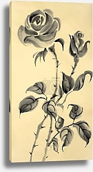 Постер drawing of a rose on a beige background