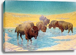 Постер Лендерс Эмиль В. Сцена с буффало