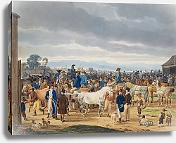 Постер Кобель Уильям Конный рынок