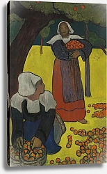 Постер Бернард Эмиль Bretonnes ramassant des pommes