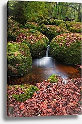 Постер Водопады Бекки, сердце Дартамура, Девон, Англия