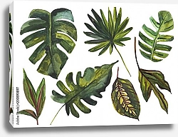 Постер Набор акварельных тропических листьев 1