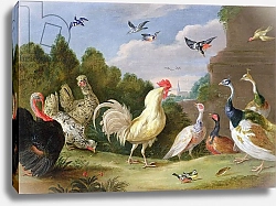 Постер Кессель Ян Wooded Landscape with a Cock, Turkey, Hens and other Birds, 17th century