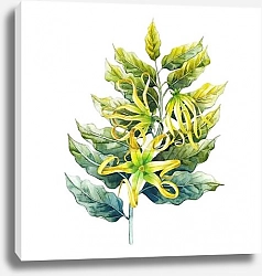 Постер Акварельная веточка иланг-иланга