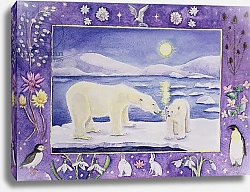 Постер Александер Вивика (совр) Polar Bear 4