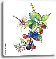 Постер Веточка ежевики с ягодами и цветами 4