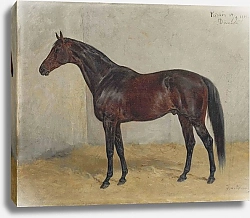 Постер Лемор Пауль Битва