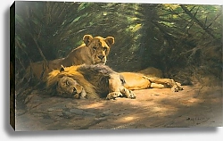Постер Кухнерт Уильям The Lions Den