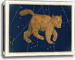 Постер Байер Иоганн Ursa Major