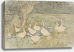 Постер Хойтема Тео Утки