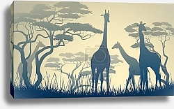 Постер Дикие жирафы в африканской саванне