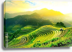 Постер Вьетнам. Рисовые террасы Mu Cang Chai, YenBai