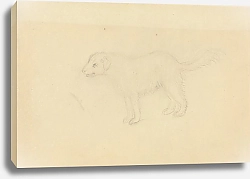 Постер Сауэрби Джеймс Собака 2