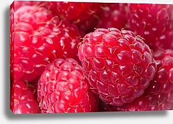 Постер Малина 3