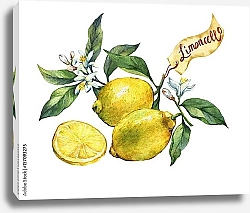 Постер Два сочных лимона с долькой 