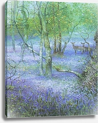 Постер Бенингфилд Гордон (1936-98) Bluebell wood with Fallow Deer, from source unknown