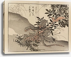 Постер Байрей Коно Байрей гафу, пл. 66