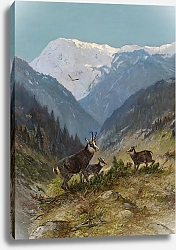 Постер Мюллер Моритц Гамсвильдрудель