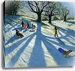 Постер Макара Эндрю (совр) Winter Tree, Snow Sledgers, Calke Abbey, Derby